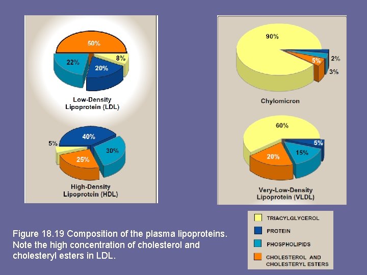 Figure 18. 19 Composition of the plasma lipoproteins. Note the high concentration of cholesterol