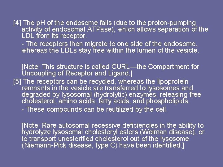 [4] The p. H of the endosome falls (due to the proton-pumping activity of