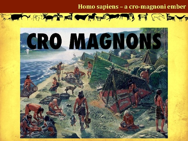 Homo sapiens – a cro-magnoni ember 