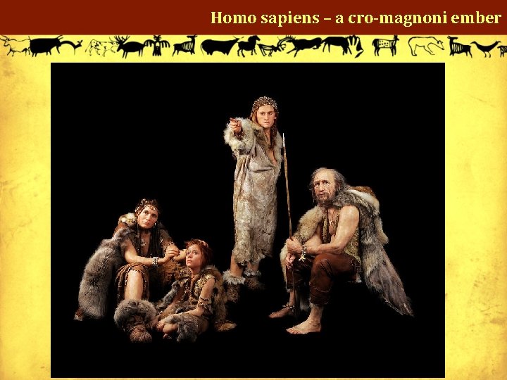 Homo sapiens – a cro-magnoni ember 