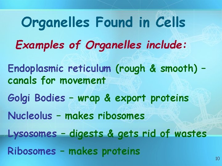 Organelles Found in Cells Examples of Organelles include: Endoplasmic reticulum (rough & smooth) –