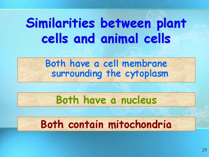 Similarities cells and between plant animal cells Both have a cell membrane surrounding the