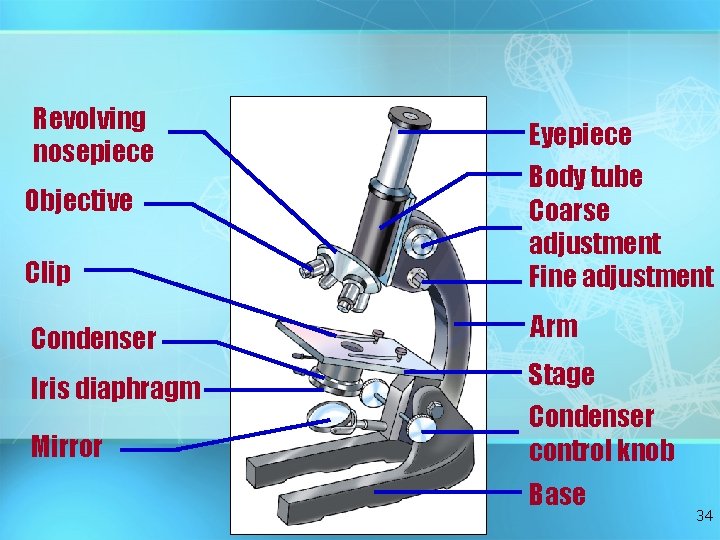 Revolving nosepiece Eyepiece Clip Body tube Coarse adjustment Fine adjustment Condenser Arm Iris diaphragm