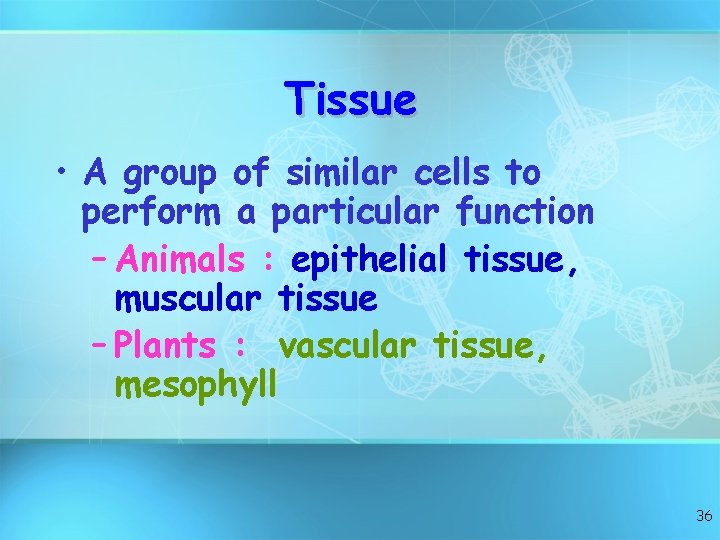 Tissue • A group of similar cells to perform a particular function – Animals