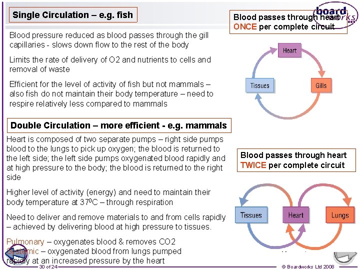 Single Circulation – e. g. fish Blood pressure reduced as blood passes through the
