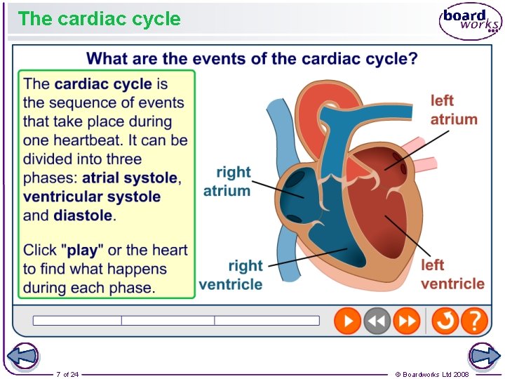 The cardiac cycle 7 of 24 © Boardworks Ltd 2008 