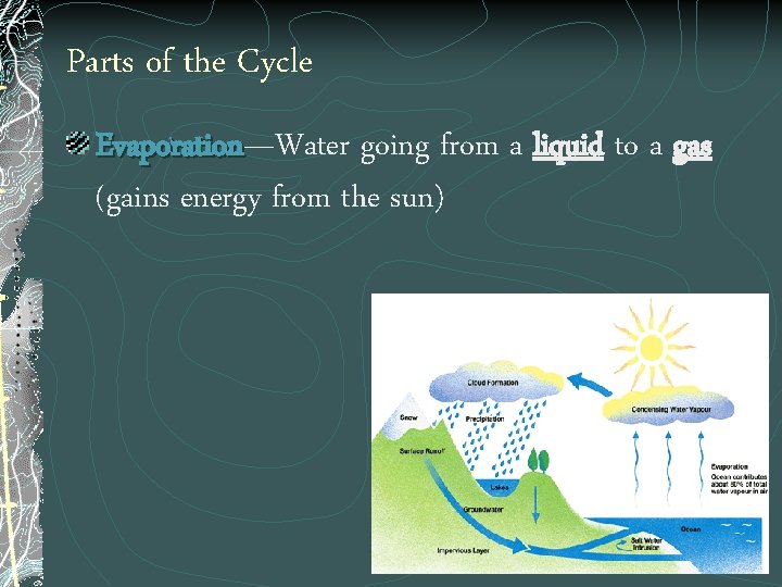 Parts of the Cycle Evaporation—Water going from a liquid to a gas Evaporation (gains
