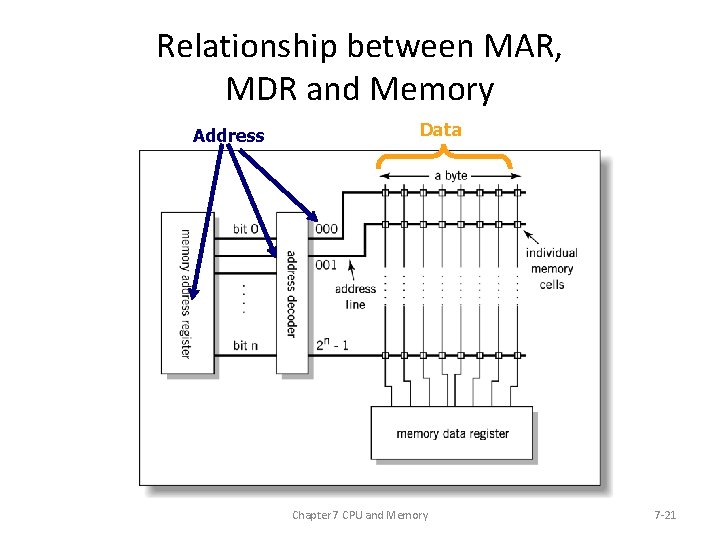 Relationship between MAR, MDR and Memory Address Data Chapter 7 CPU and Memory 7