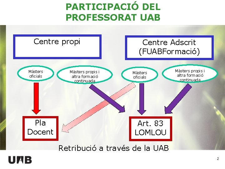 PARTICIPACIÓ DEL PROFESSORAT UAB Centre propi Màsters oficials Pla Docent Màsters propis i altra