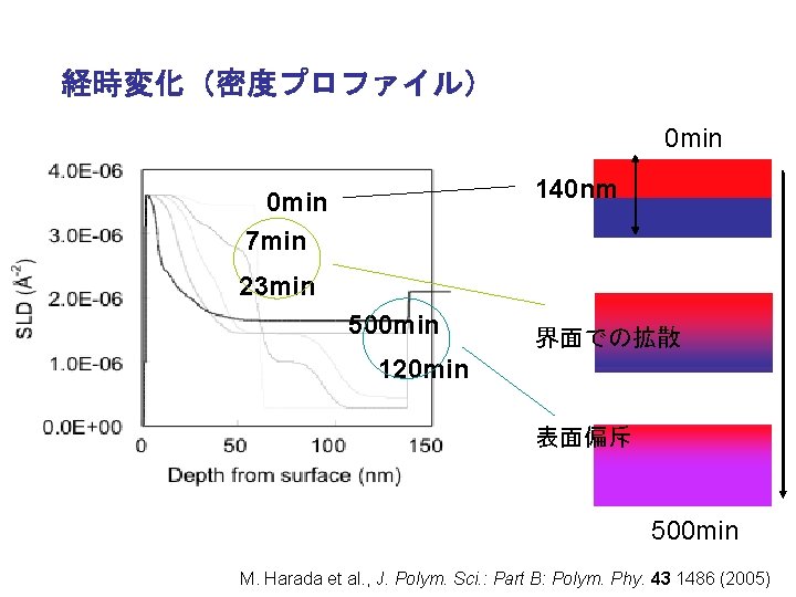 経時変化（密度プロファイル） 0 min 140 nm 0 min 7 min 23 min 500 min 界面での拡散