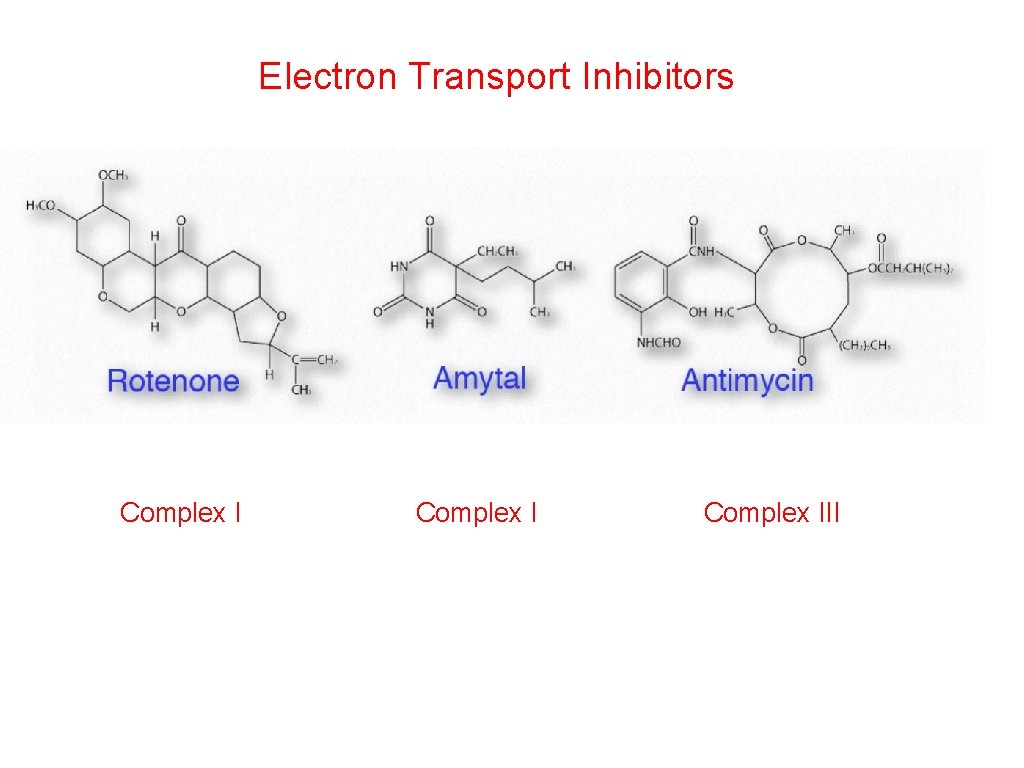 Electron Transport Inhibitors Complex III 