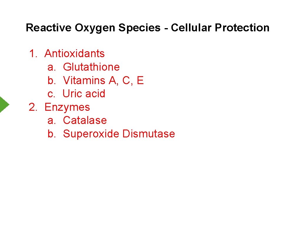 Reactive Oxygen Species - Cellular Protection 1. Antioxidants a. Glutathione b. Vitamins A, C,