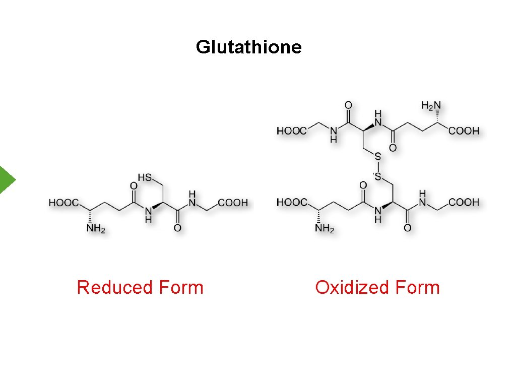 Glutathione Reduced Form Oxidized Form 