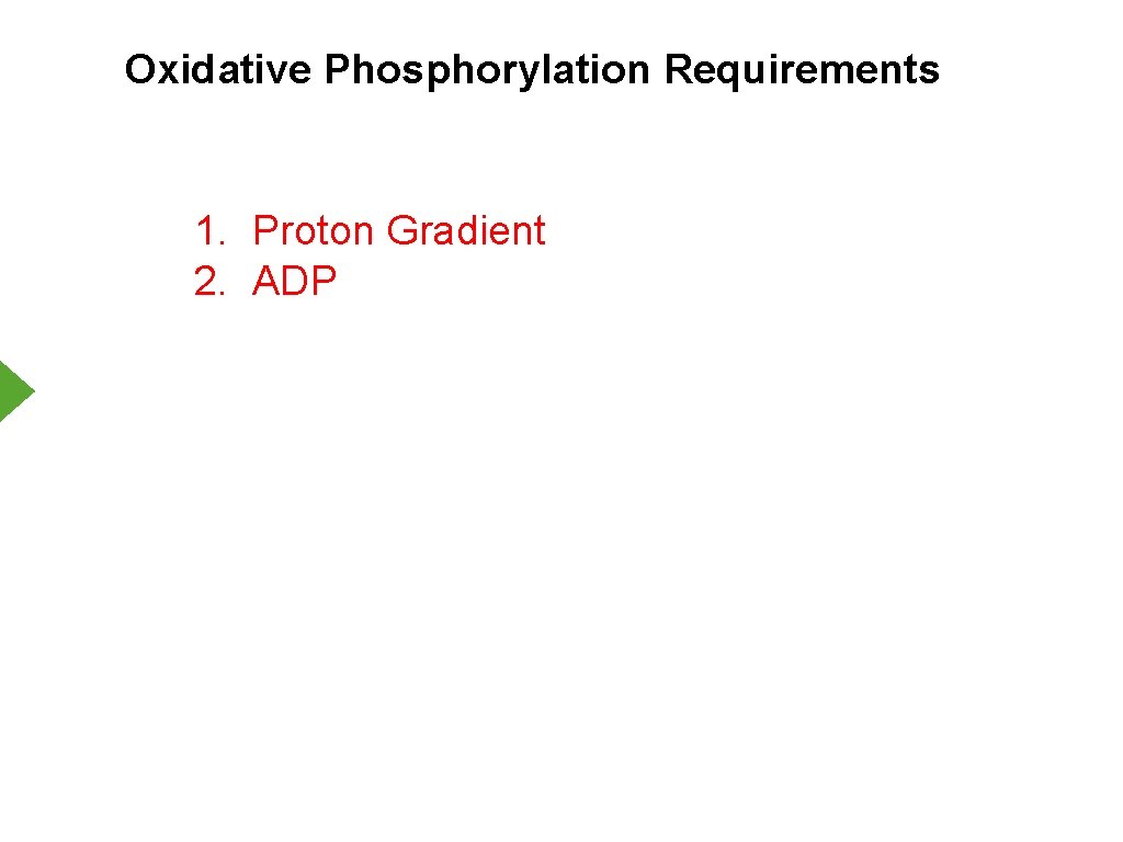 Oxidative Phosphorylation Requirements 1. Proton Gradient 2. ADP 