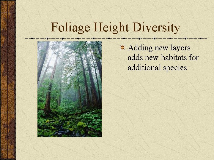 Foliage Height Diversity Adding new layers adds new habitats for additional species 