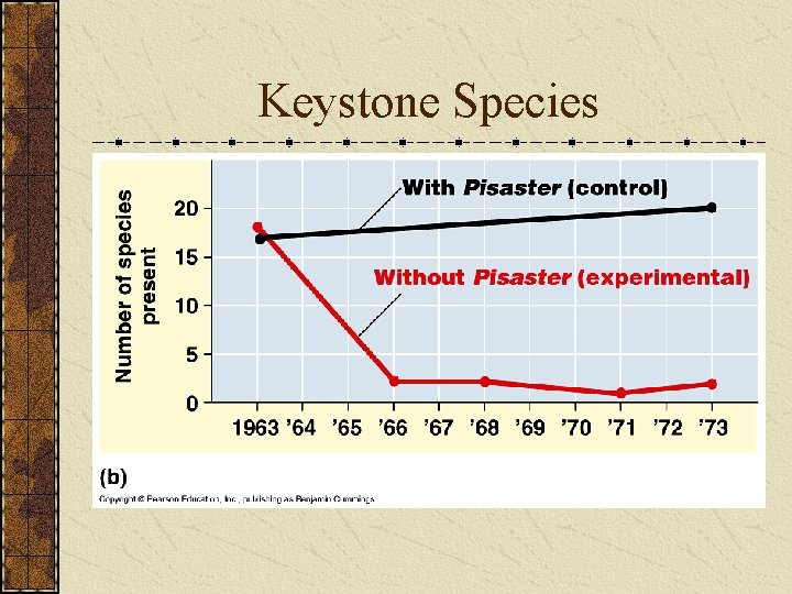 Keystone Species 