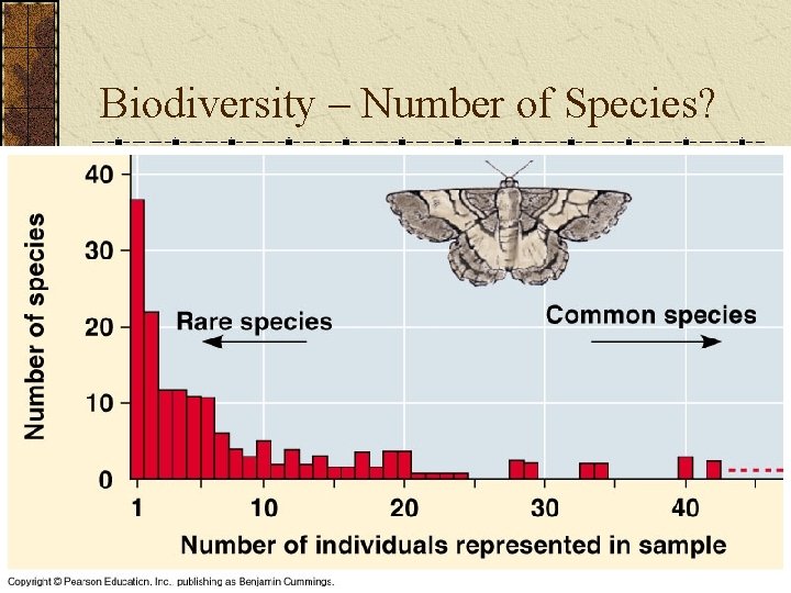Biodiversity – Number of Species? 