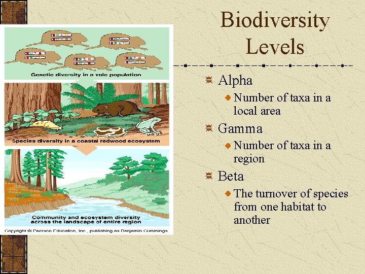 Biodiversity Levels Alpha Number of taxa in a local area Gamma Number of taxa