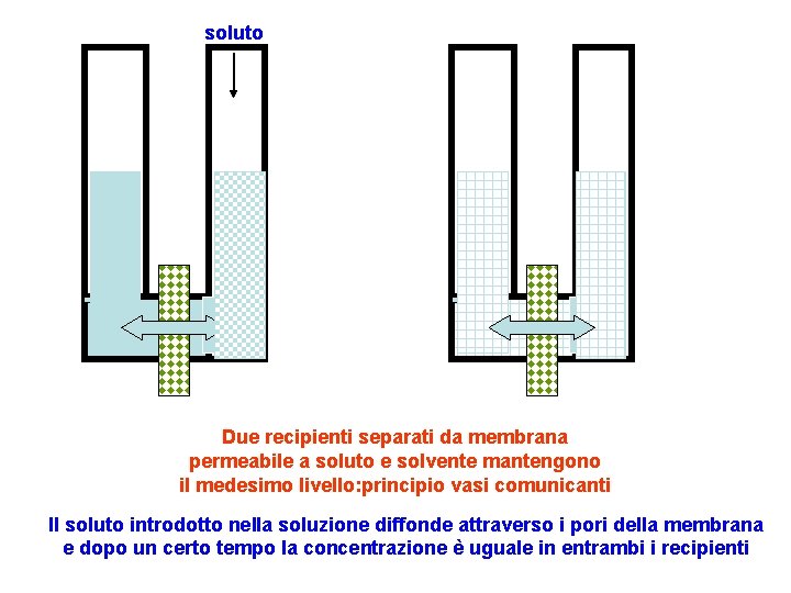 soluto Due recipienti separati da membrana permeabile a soluto e solvente mantengono il medesimo