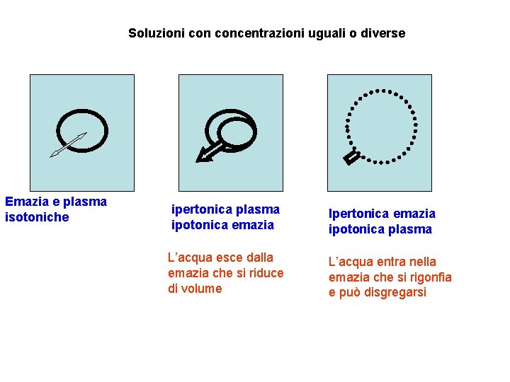 Soluzioni concentrazioni uguali o diverse Emazia e plasma isotoniche ipertonica plasma ipotonica emazia L’acqua