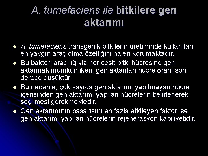 A. tumefaciens ile bitkilere gen aktarımı l l A. tumefaciens transgenik bitkilerin üretiminde kullanılan