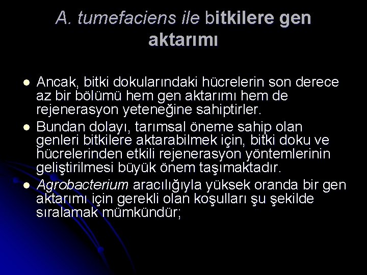 A. tumefaciens ile bitkilere gen aktarımı l l l Ancak, bitki dokularındaki hücrelerin son