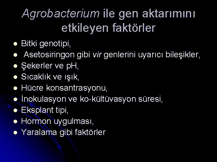 Agrobacterium ile gen aktarımını etkileyen faktörler l l l l l Bitki genotipi, Asetosiringon