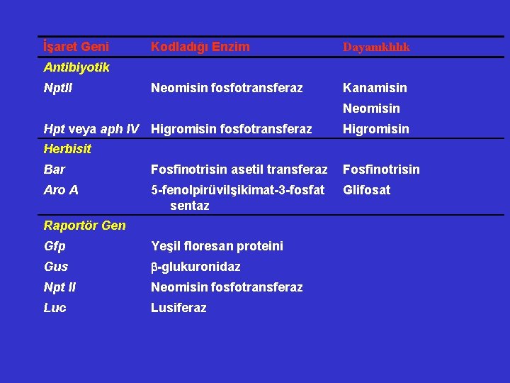 İşaret Geni Kodladığı Enzim Dayanıklılık Neomisin fosfotransferaz Kanamisin Antibiyotik Npt. II Neomisin Hpt veya