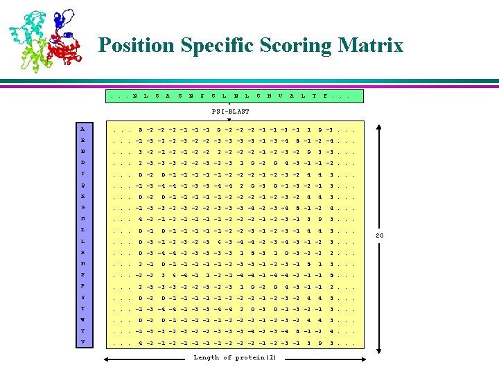 Position Specific Scoring Matrix. . . N L G A G N S G