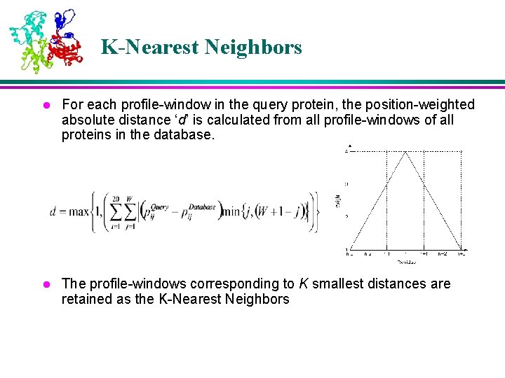 K-Nearest Neighbors l For each profile-window in the query protein, the position-weighted absolute distance