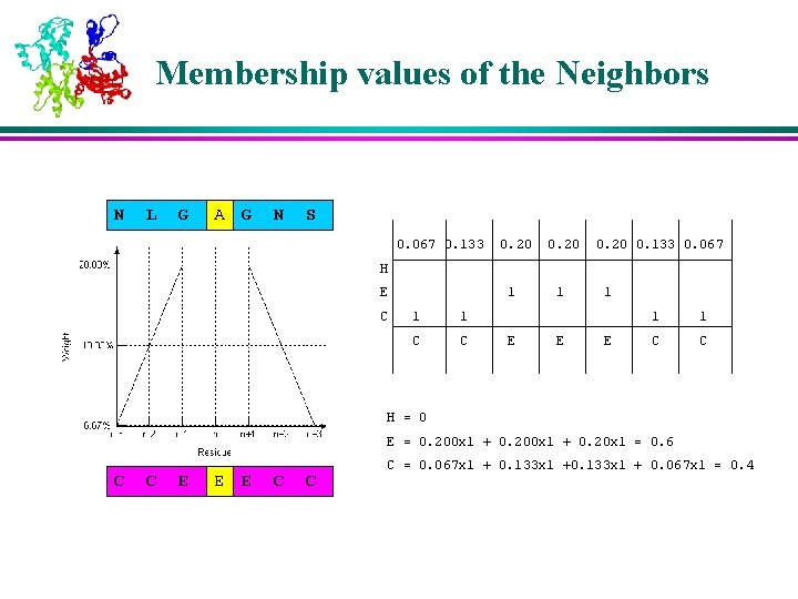 Membership values of the Neighbors N L G AA G N S 0. 067