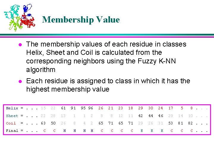 Membership Value l The membership values of each residue in classes Helix, Sheet and