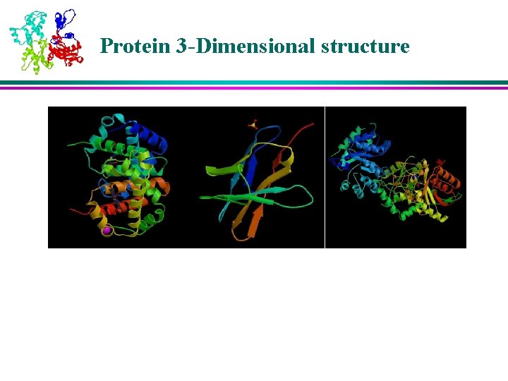 Protein 3 -Dimensional structure 