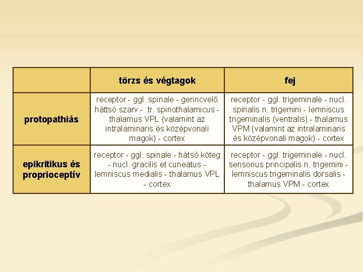 törzs és végtagok fej protopathiás receptor - ggl. spinale - gerincvelő háttsó szarv -