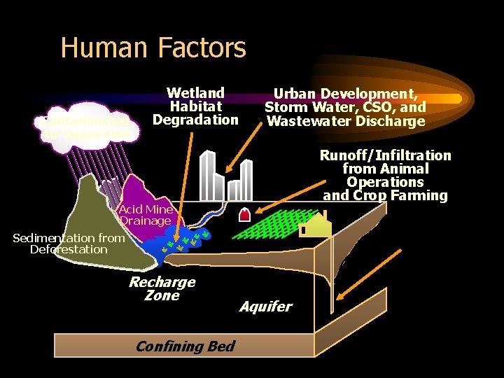 Human Factors Contaminated Air Deposition Wetland Habitat Degradation Urban Development, Storm Water, CSO, and