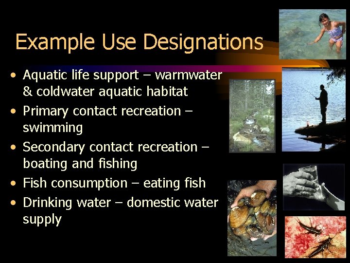 Example Use Designations • Aquatic life support – warmwater & coldwater aquatic habitat •