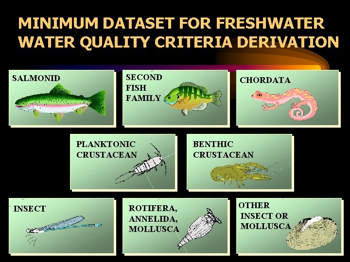 MINIMUM DATASET FOR FRESHWATER QUALITY CRITERIA DERIVATION SALMONID SECOND FISH FAMILY PLANKTONIC CRUSTACEAN INSECT