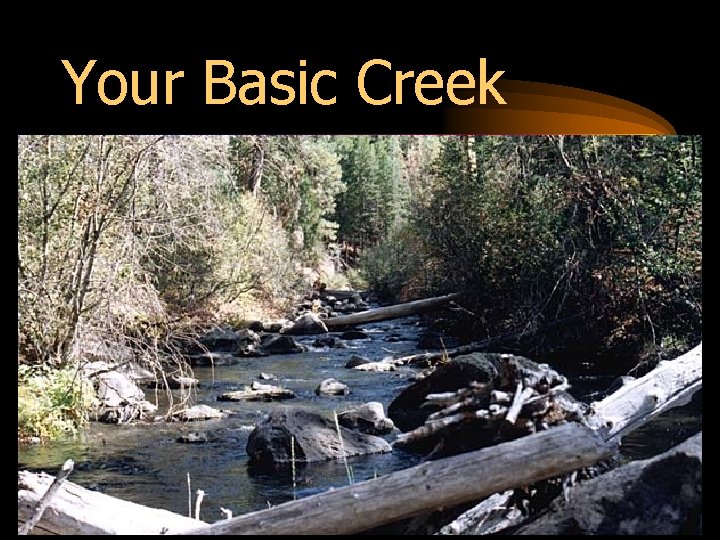 Your Basic Creek 