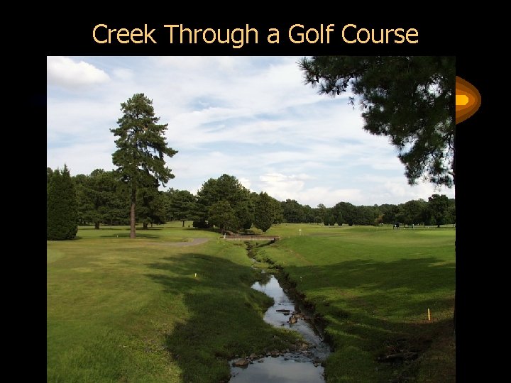 Creek Through a Golf Course 