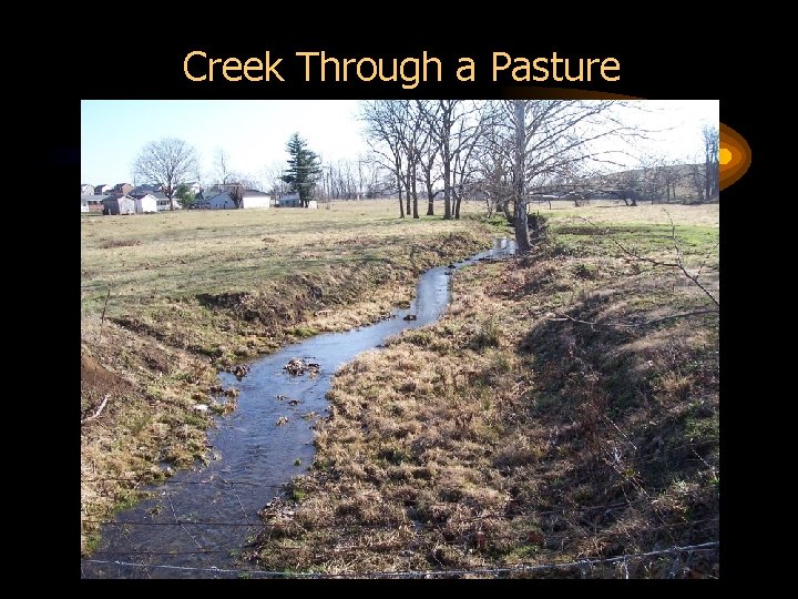 Creek Through a Pasture 