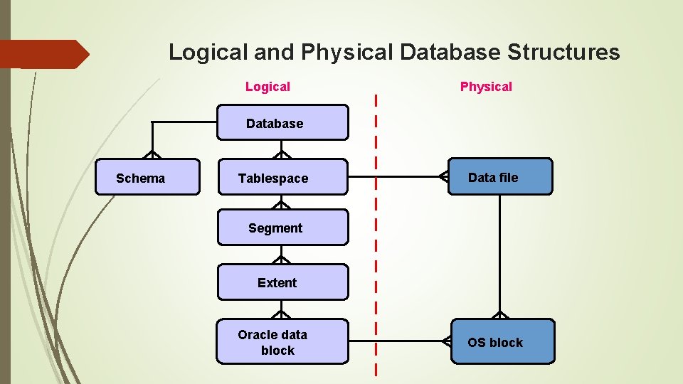 Logical and Physical Database Structures Logical Physical Database Schema Tablespace Data file Segment Extent