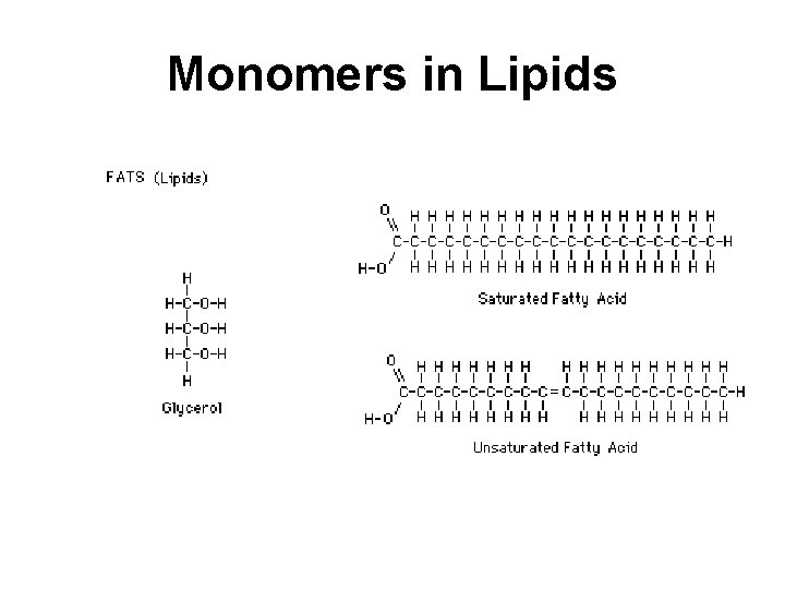 Monomers in Lipids 