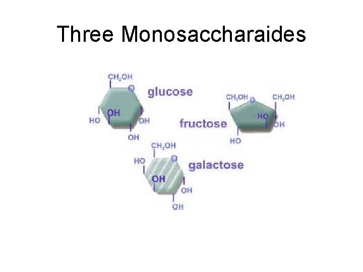 Three Monosaccharaides 