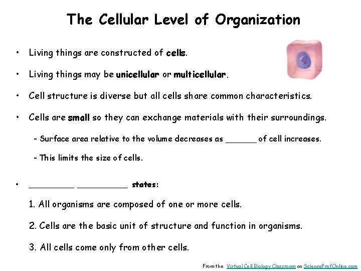 The Cellular Level of Organization • Living things are constructed of cells. • Living