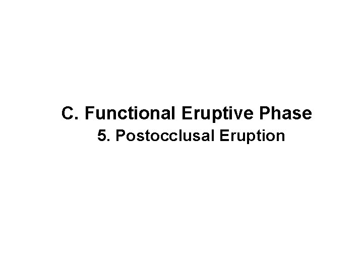 C. Functional Eruptive Phase 5. Postocclusal Eruption 