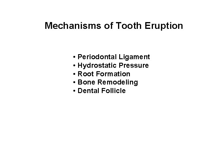 Mechanisms of Tooth Eruption • Periodontal Ligament • Hydrostatic Pressure • Root Formation •