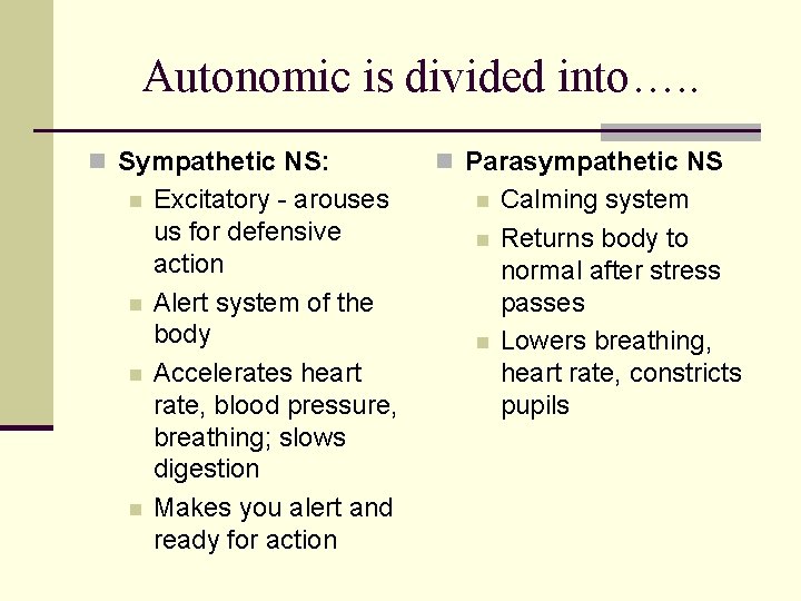 Autonomic is divided into…. . n Sympathetic NS: n n Excitatory - arouses us