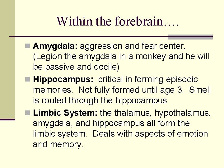 Within the forebrain…. n Amygdala: aggression and fear center. (Legion the amygdala in a