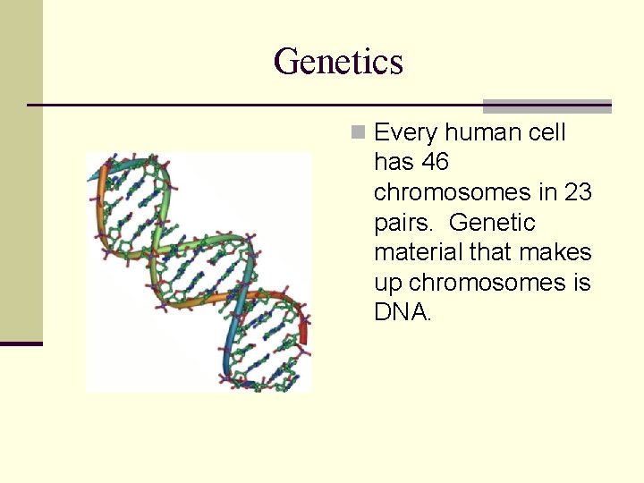 Genetics n Every human cell has 46 chromosomes in 23 pairs. Genetic material that
