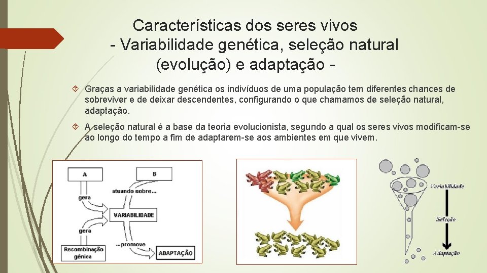 Características dos seres vivos - Variabilidade genética, seleção natural (evolução) e adaptação Graças a